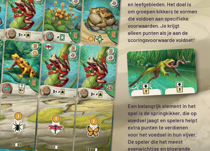 Pondscape - Card Game (NL)
