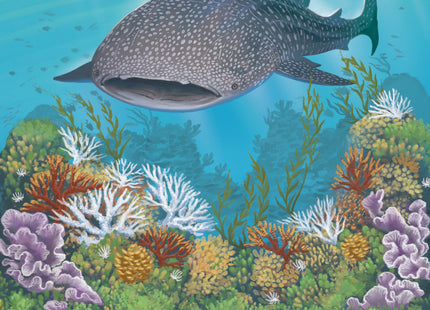 Shallow Sea: Rare Fish Expansion (NL) [PRE ORDER]