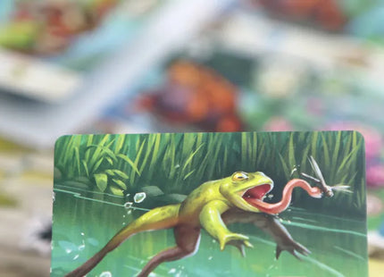 Pondscape - Card Game (NL)