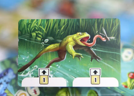 Pondscape - Card Game (NL)