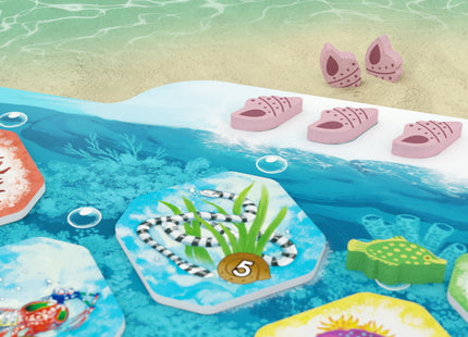 Shallow Sea - Board Game (NL) [PRE ORDER]