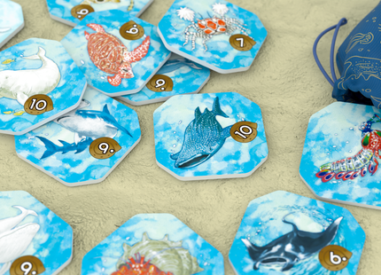 Shallow Sea - Board Game (NL) [PRE ORDER]