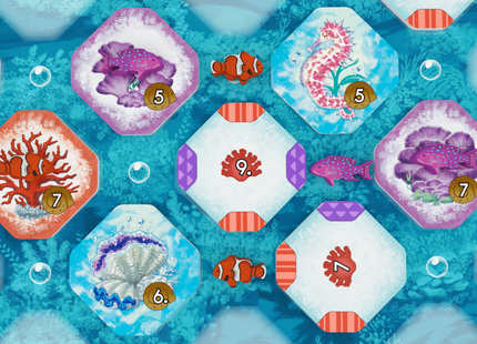 Shallow Sea - Board Game (NL) [PRE ORDER]