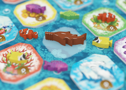 Shallow Sea: Rare Fish Expansion (NL) [PRE ORDER]
