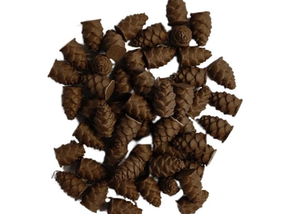 bordspellen-accessoires-upgraded-pinecones-for-cascadia-25st