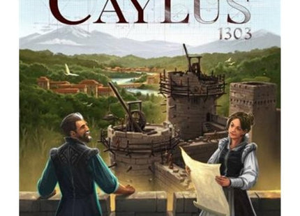 bordspellen-caylus-1303