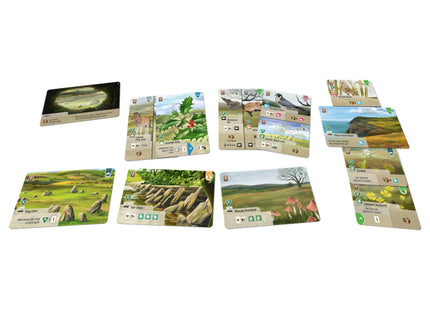 Forest Shuffle Dartmoor: Exmoor uitbreiding (ENG)