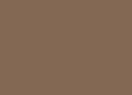 miniatuur-verf-vallejo-german-camouflage-pale-brown-17-ml